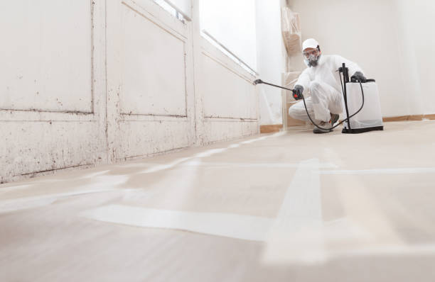 24/7 Emergency Basement Mold Remediation experts in Jamison, PA